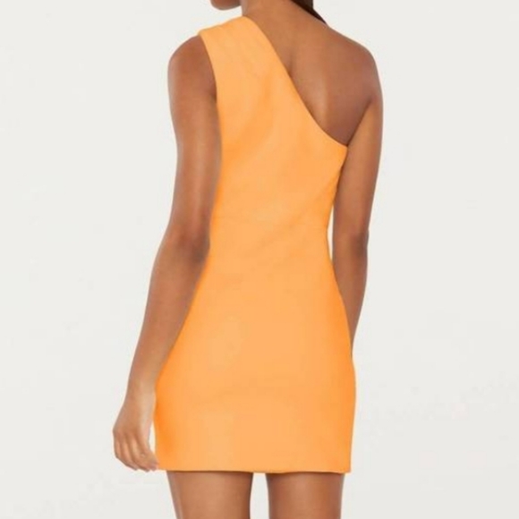 LIKELY Gonnella Dress In Birds Of Paradise Orange Size 14 NWT'S - Picture 2 of 14